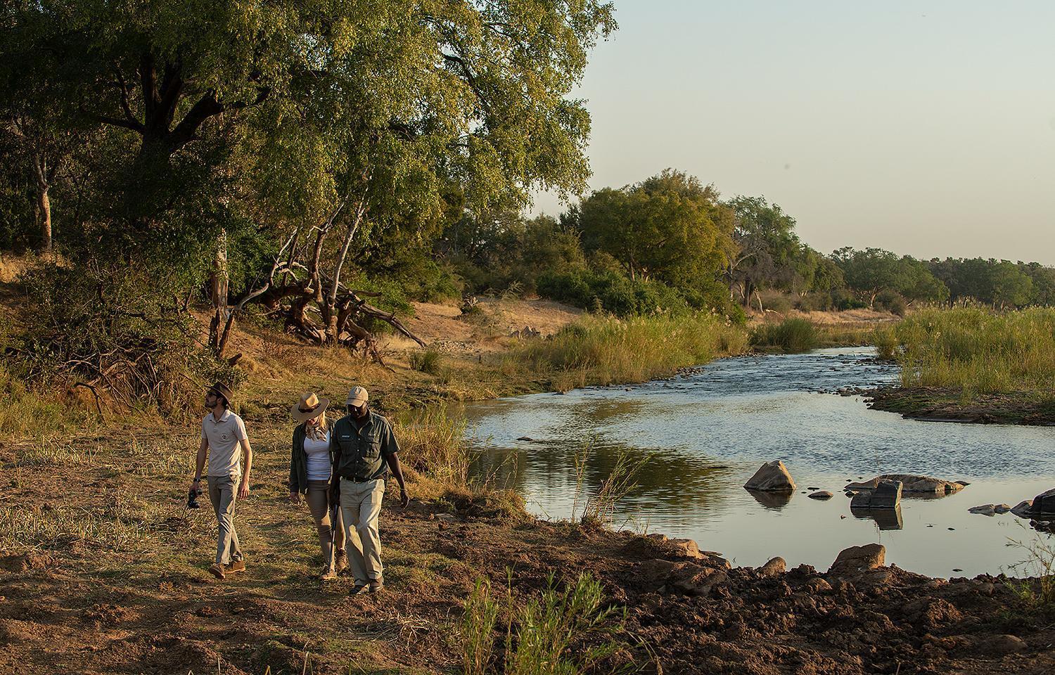 Pondoro Game Lodge Balule Game Reserve Eksteriør billede